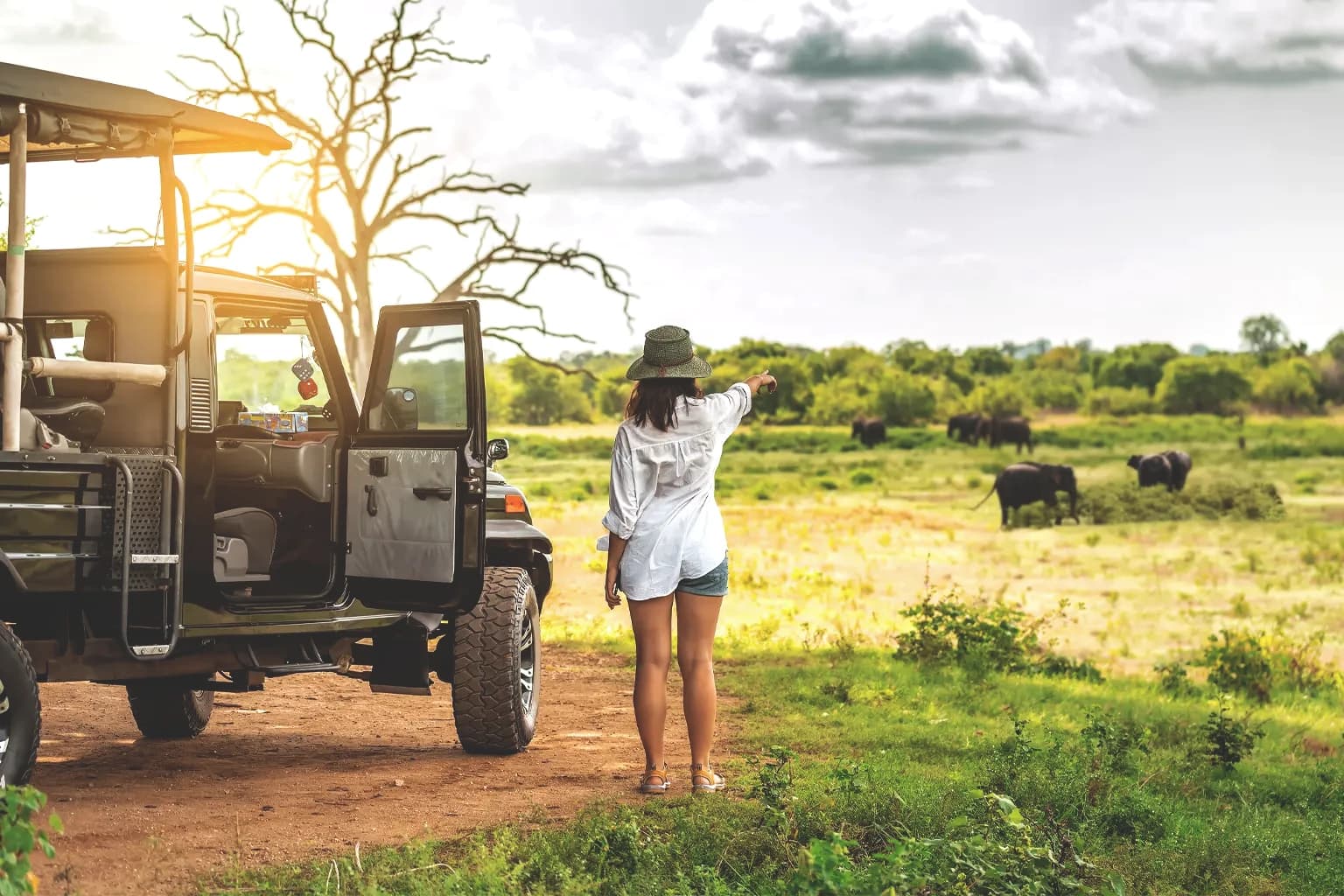 Sri Lankan Safari