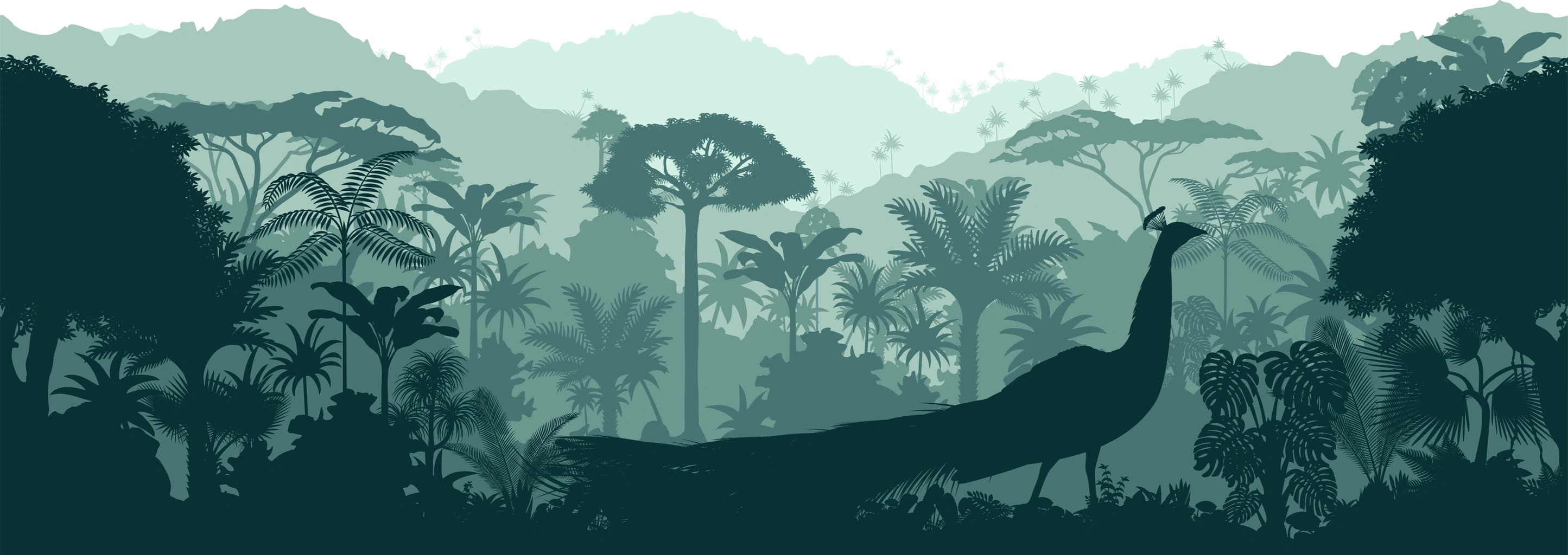 Semi-transparent background
